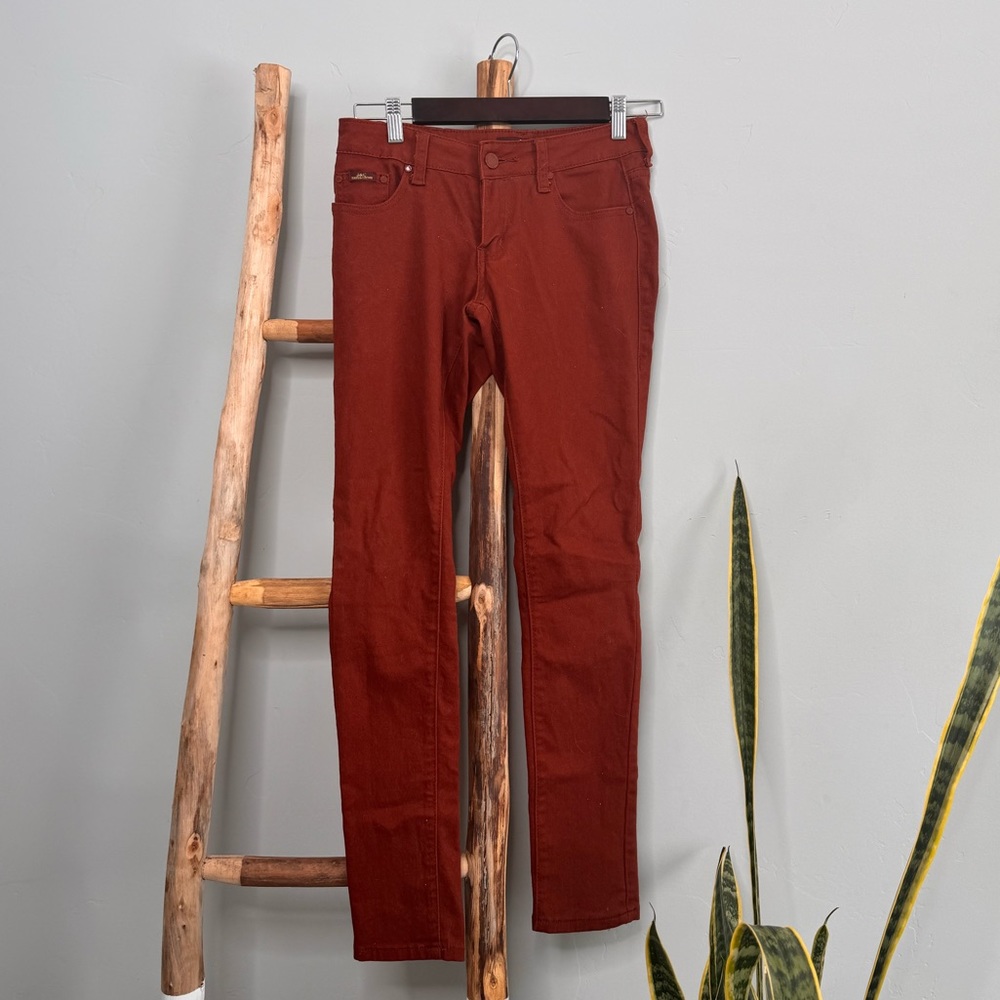 NWOT NEVER WORN! ⭐️ Jeans&Crown Skinny Jean